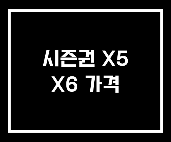 시즌권 X5 X6 가격