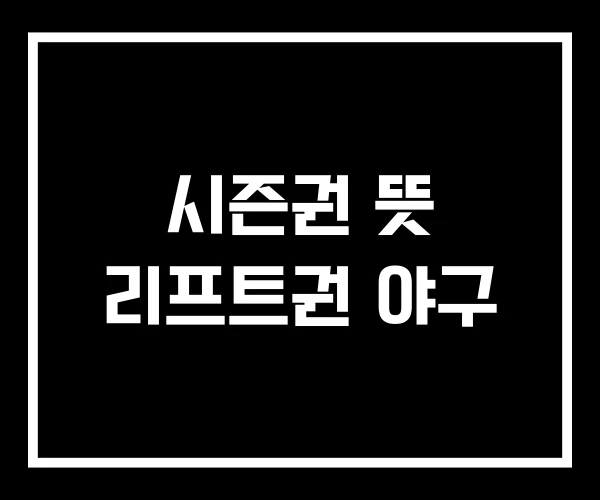 시즌권 뜻 리프트권 야구