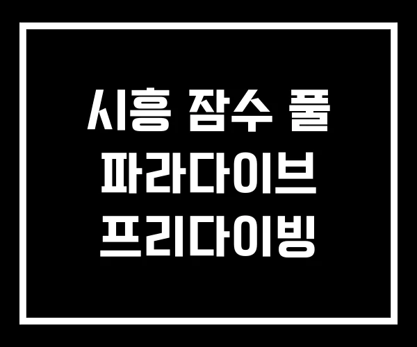 시흥 잠수 풀 파라다이브 프리다이빙