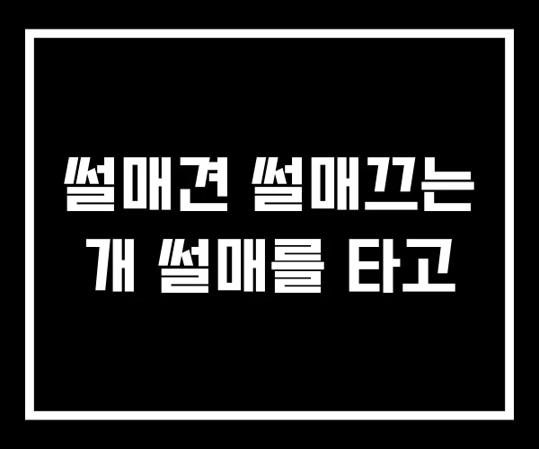 썰매견 썰매끄는 개 썰매를 타고