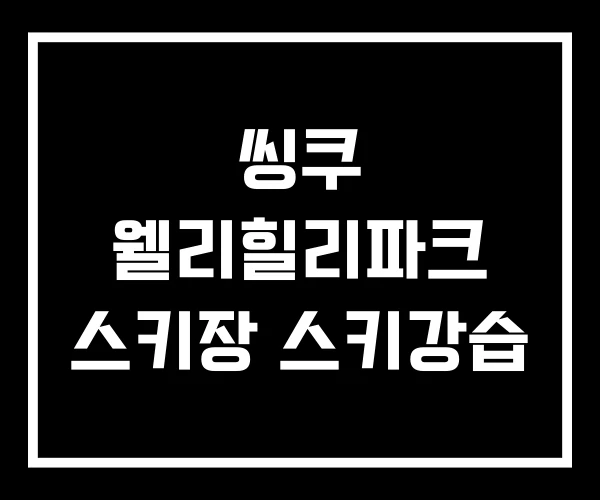 씽쿠 웰리힐리파크 스키장 스키강습 씽쿠 웰리힐리파크 스키장 스키강습