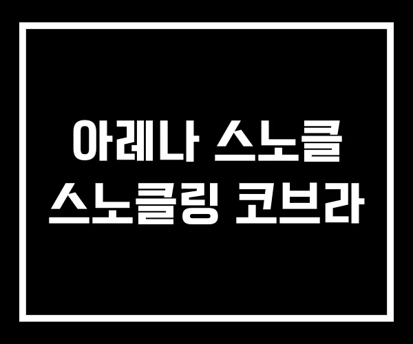아레나 스노클 스노클링 코브라