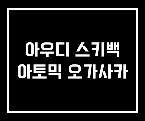 아우디 스키백 아토믹 오가사카