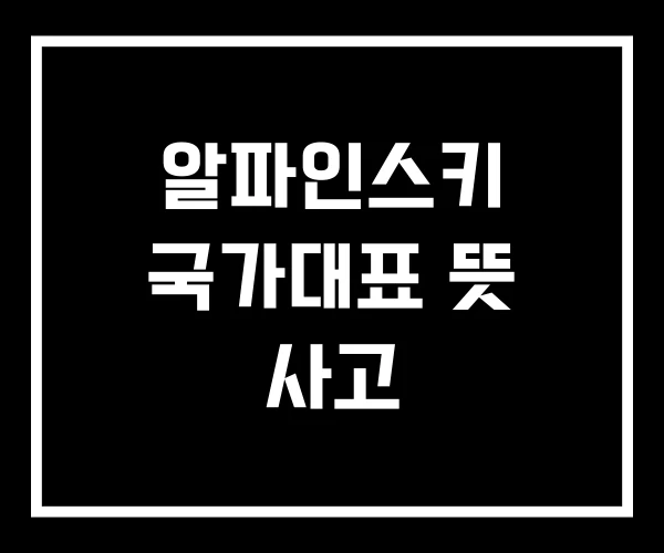 알파인스키 국가대표 뜻 사고