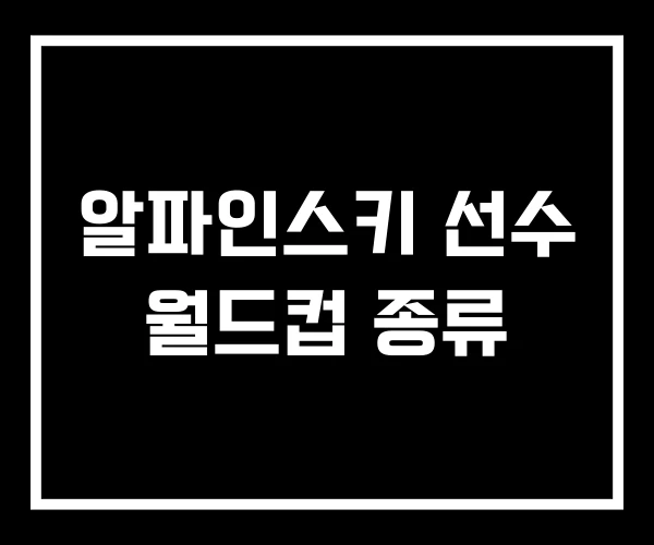 알파인스키 선수 월드컵 종류 알파인스키 선수 월드컵 종류