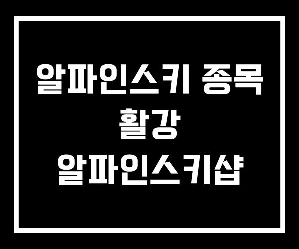 알파인스키 종목 활강 알파인스키샵