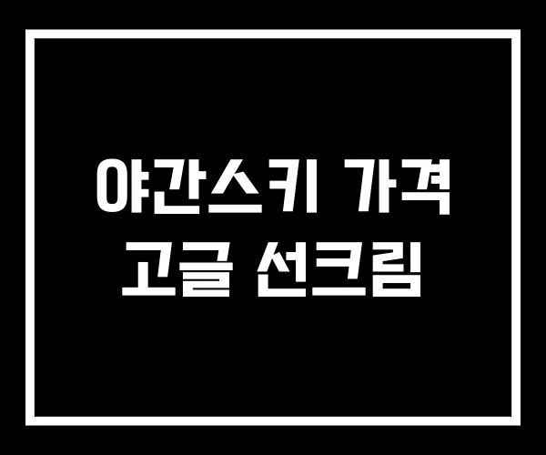 야간스키 가격 고글 선크림