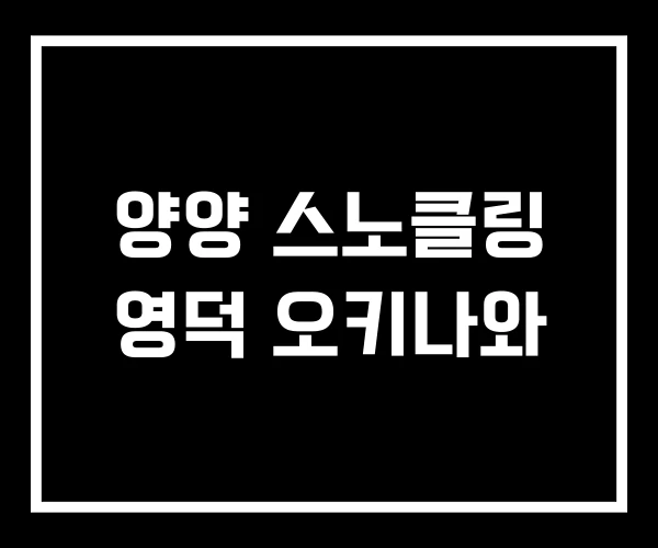 양양 스노클링 영덕 오키나와