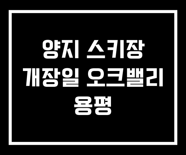 양지 스키장 개장일 오크밸리 용평
