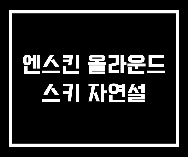 엔스킨 올라운드 스키 자연설