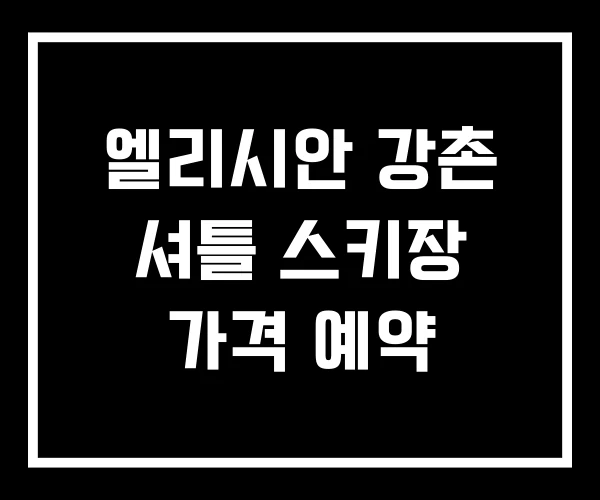엘리시안 강촌 셔틀 스키장 가격 예약