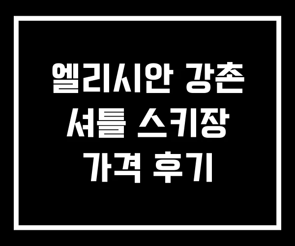 엘리시안 강촌 셔틀 스키장 가격 후기 엘리시안 강촌 셔틀 스키장 가격 후기