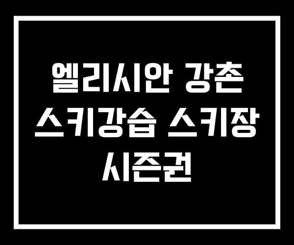 엘리시안 강촌 스키강습 스키장 시즌권 엘리시안 강촌 스키강습 스키장 시즌권