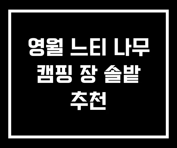 영월 느티 나무 캠핑 장 솔밭 추천