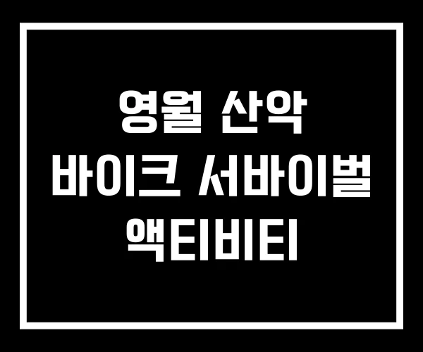 영월 산악 바이크 서바이벌 액티비티