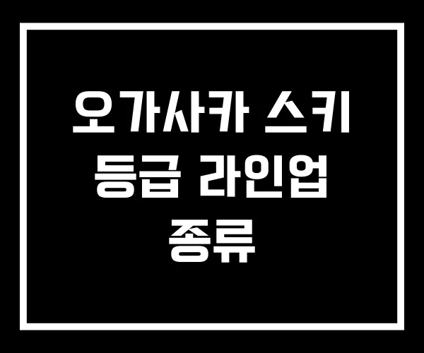 오가사카 스키 등급 라인업 종류 오가사카 스키 등급 라인업 종류