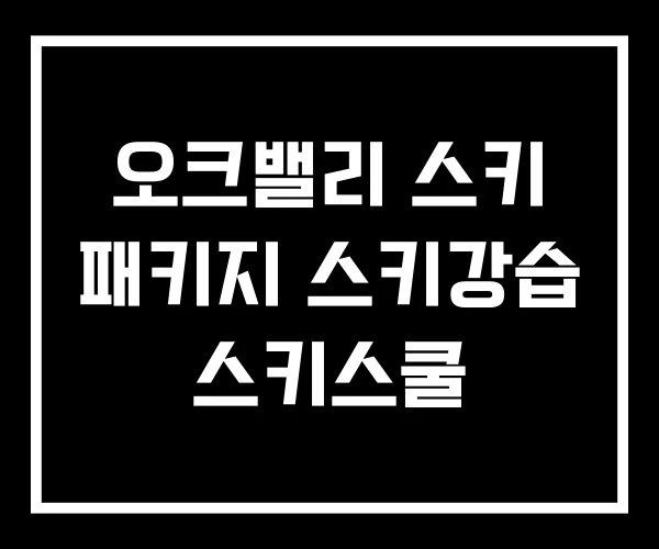 오크밸리 스키 패키지 스키강습 스키스쿨 오크밸리 스키 패키지 스키강습 스키스쿨