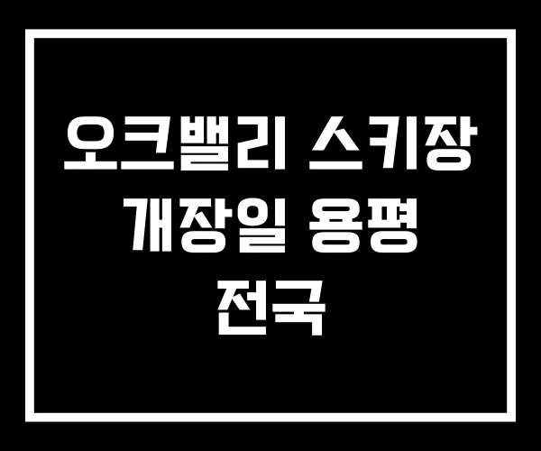 오크밸리 스키장 개장일 용평 전국 오크밸리 스키장 개장일 용평 전국