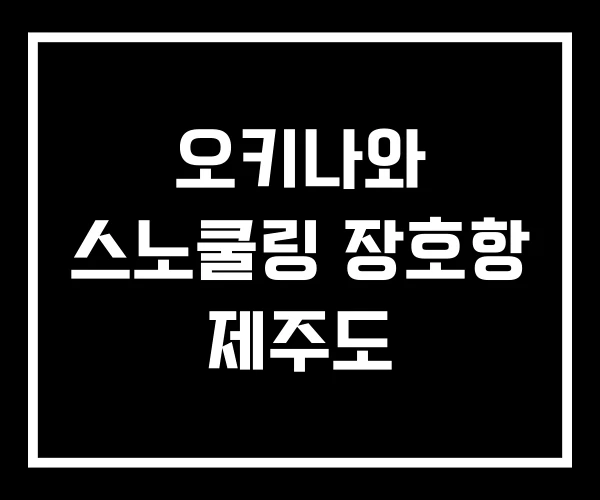 오키나와 스노쿨링 장호항 제주도