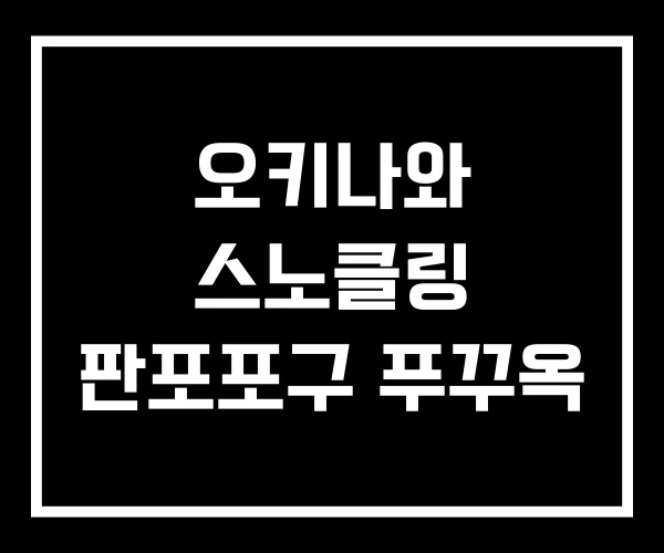 오키나와 스노클링 판포포구 푸꾸옥