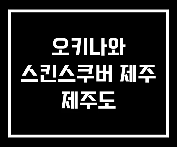 오키나와 스킨스쿠버 제주 제주도