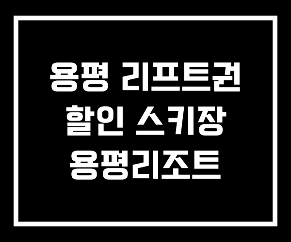 용평 리프트권 할인 스키장 용평리조트