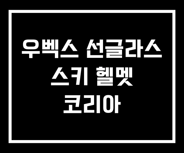 우벡스 선글라스 스키 헬멧 코리아
