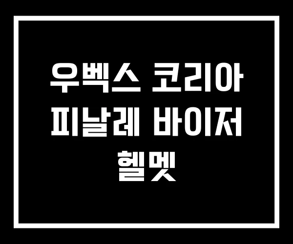 우벡스 코리아 피날레 바이저 헬멧