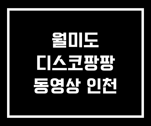 월미도 디스코팡팡 동영상 인천 월미도 디스코팡팡 동영상 인천