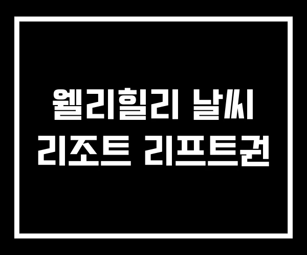 웰리힐리 날씨 리조트 리프트권