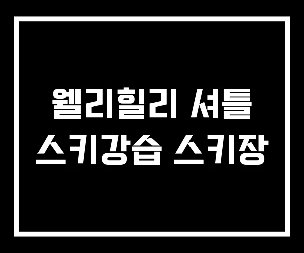 웰리힐리 셔틀 스키강습 스키장 웰리힐리 셔틀 스키강습 스키장