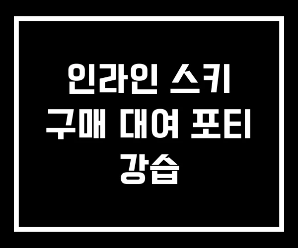 인라인 스키 구매 대여 포티 강습