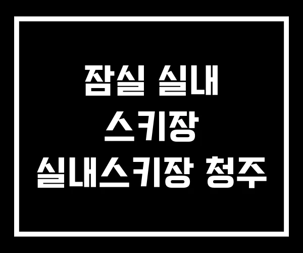 잠실 실내 스키장 실내스키장 청주 잠실 실내 스키장 실내스키장 청주