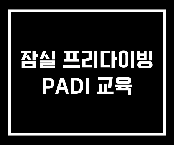 잠실 프리다이빙 PADI 교육