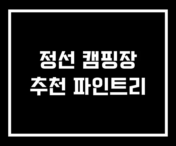 정선 캠핑장 추천 파인트리