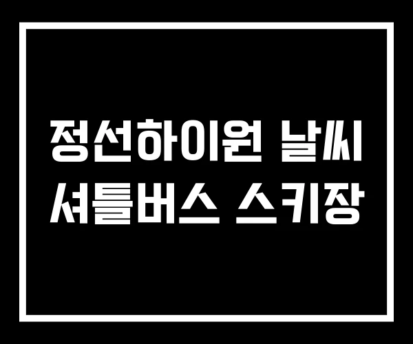 정선하이원 날씨 셔틀버스 스키장