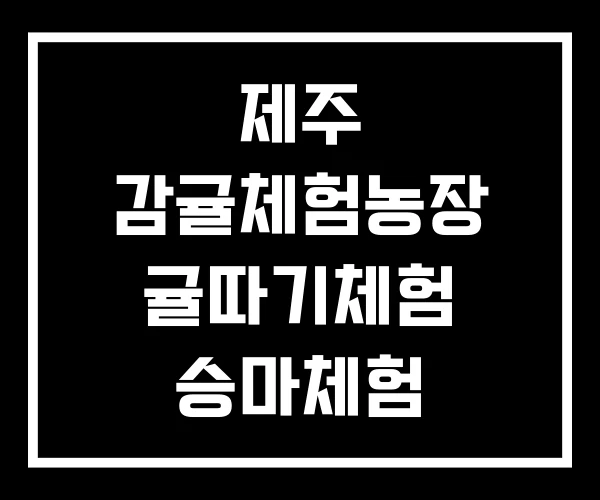제주 감귤체험농장 귤따기체험 승마체험