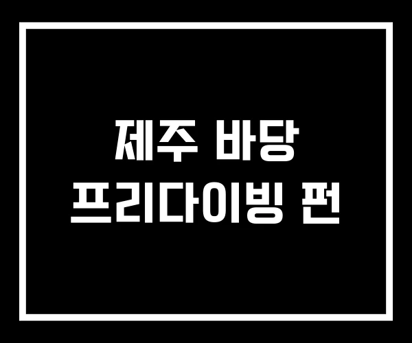 제주 바당 프리다이빙 펀