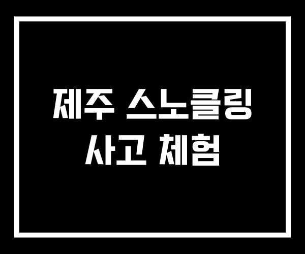 제주 스노클링 사고 체험
