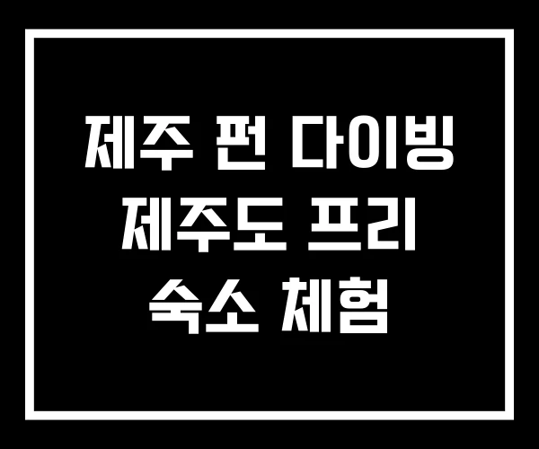 제주 펀 다이빙 제주도 프리 숙소 체험