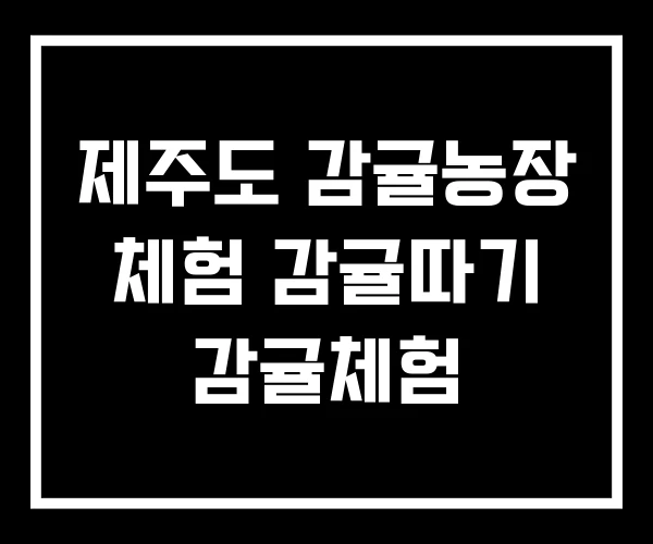 제주도 감귤농장 체험 감귤따기 감귤체험