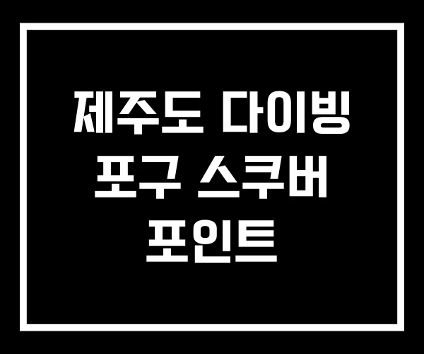 제주도 다이빙 포구 스쿠버 포인트
