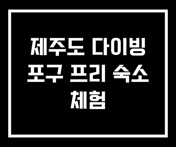제주도 다이빙 포구 프리 숙소 체험