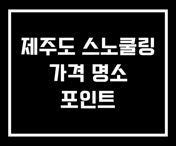 제주도 스노쿨링 가격 명소 포인트