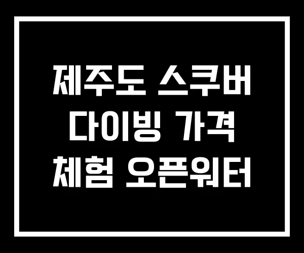 제주도 스쿠버 다이빙 가격 체험 오픈워터