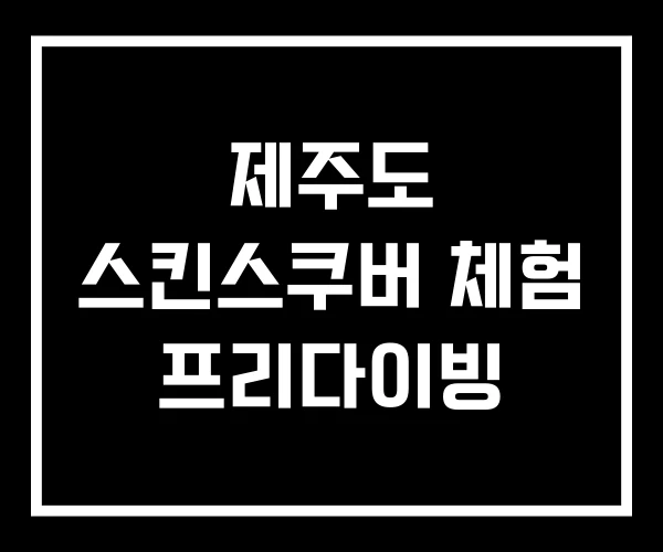 제주도 스킨스쿠버 체험 프리다이빙