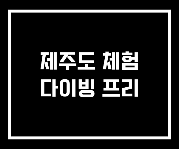 제주도 체험 다이빙 프리