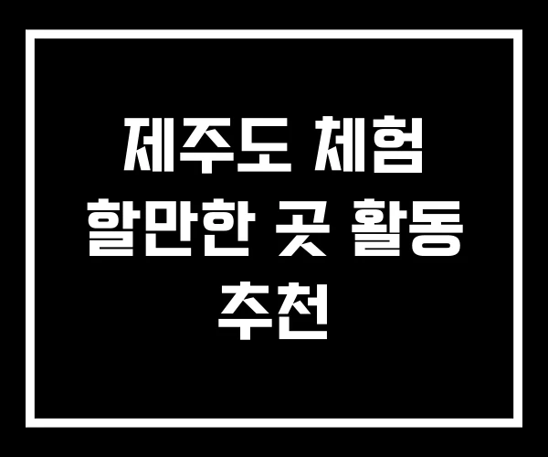 제주도 체험 할만한 곳 활동 추천