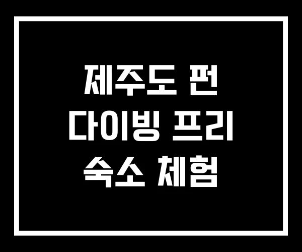 제주도 펀 다이빙 프리 숙소 체험