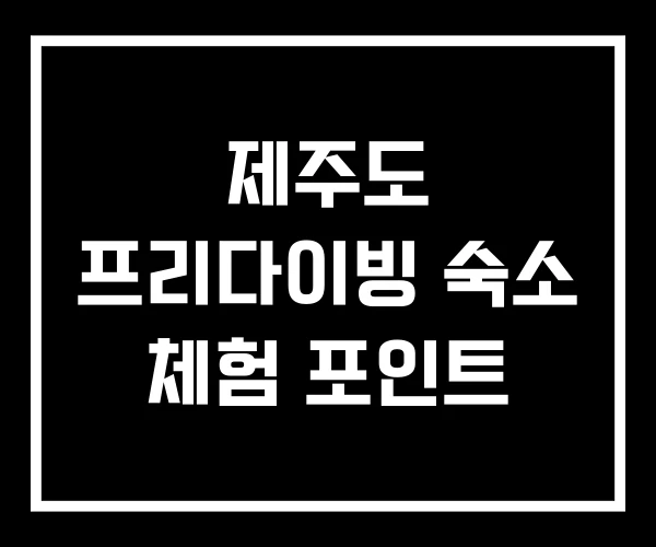 제주도 프리다이빙 숙소 체험 포인트
